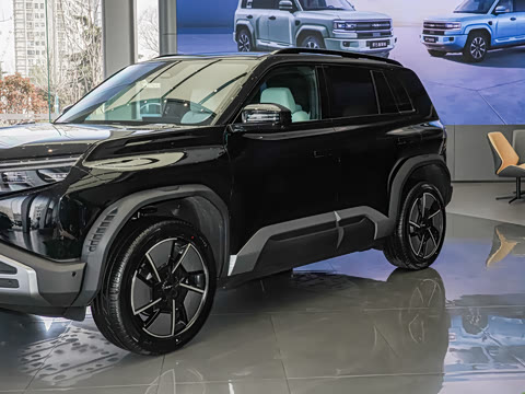 2025�� 501KM ����Max��