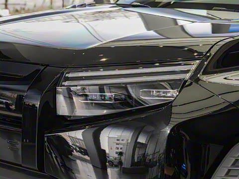 2025�� 501KM ����Max��