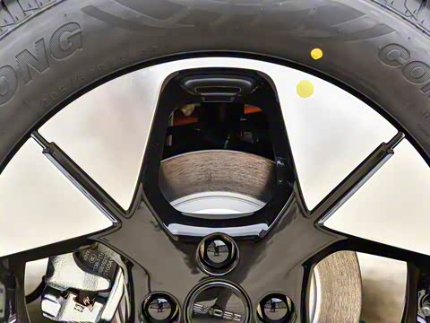 2025�� 310km �����