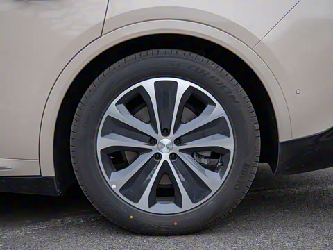 2025�� ���� 251km Max