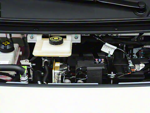 2025�� 330��ҫ��