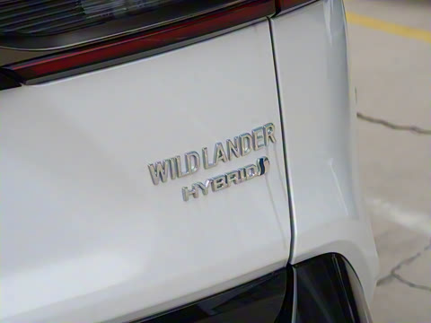 2024�� ˫�� 2.5L E-CVT��������PLUS��