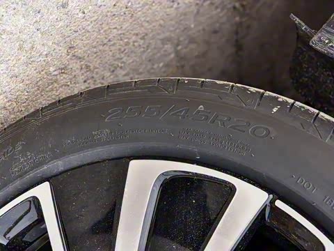 2025�� ������ ���ǳ�������