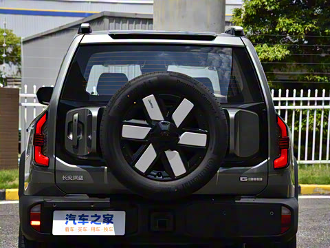 2024�� ����������