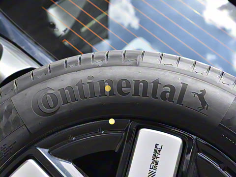 2024�� ����������