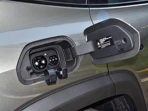 2024�� ����������