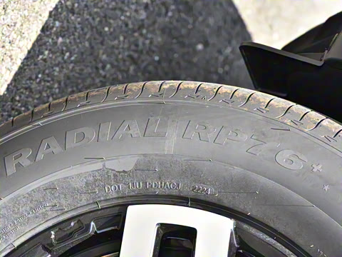 2024�� ����������