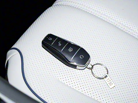 2025�� DM-i 55KM ���а�