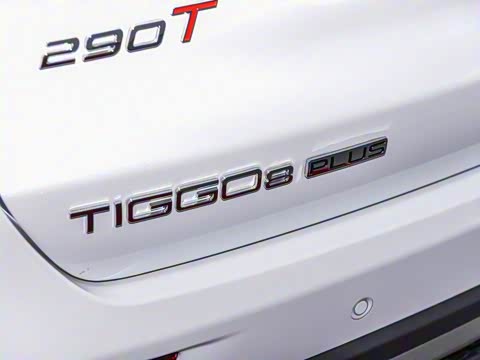 2023�� 290TGDI DCT������