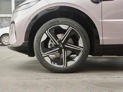 2024�� ������������