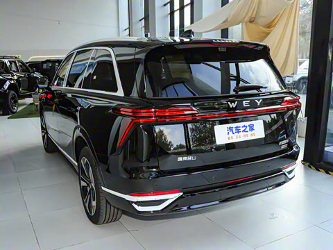 2025�� ���� Max