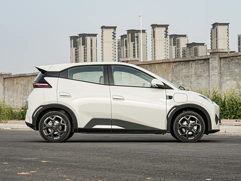 2025�� �Ǽݰ� 305km ���ɰ�