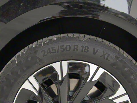 2024�� V 300 �캽��