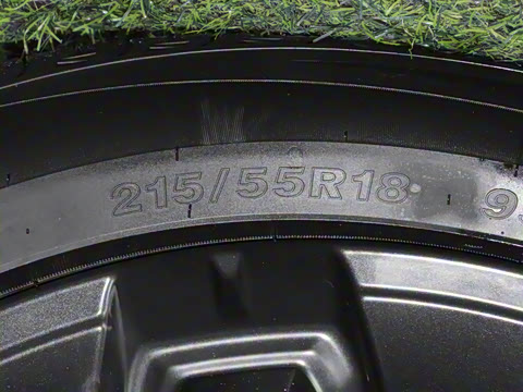 2025�� ���������� 650 ������