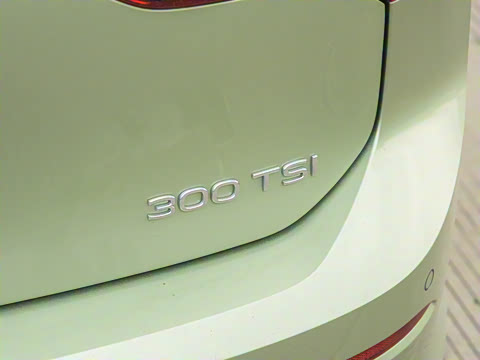 2025�� 300TSI Pro