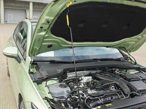 2025�� 300TSI Pro