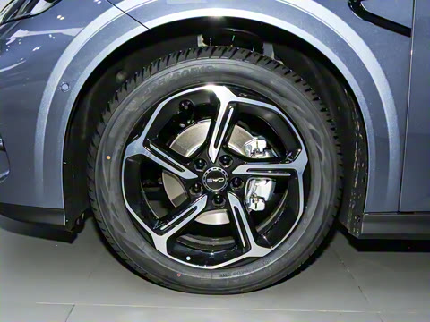 2025�� 505����Plus��