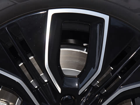 2025�� 725 �������� Max