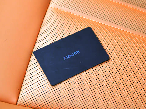 2025�� ������������������Max��