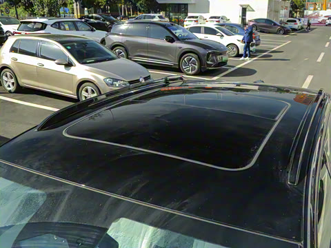 2024�� ��������������