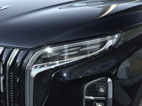 2024�� 2.0T PHEV ��������� 7��