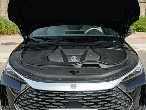2025�� DM-i 175KM �캽��