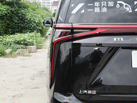 2024�� ���� ��������ɭ�ְ� ����