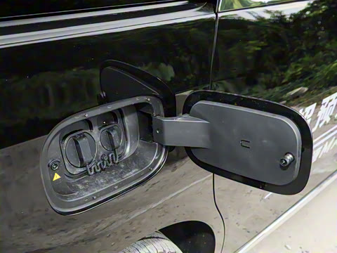 2024�� ���� ��������ɭ�ְ� ����