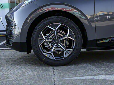 2025�� 530km ����Pro