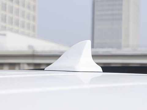 2025�� ������