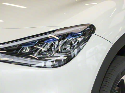 2026�� �鶯������