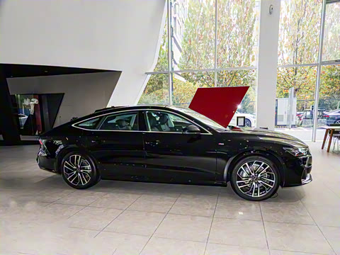 2025�� 45 TFSI ��ѡ��