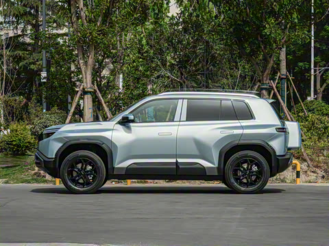 2025�� 501KM ����Max��