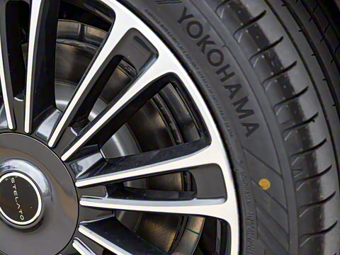 2025�� ���� Max