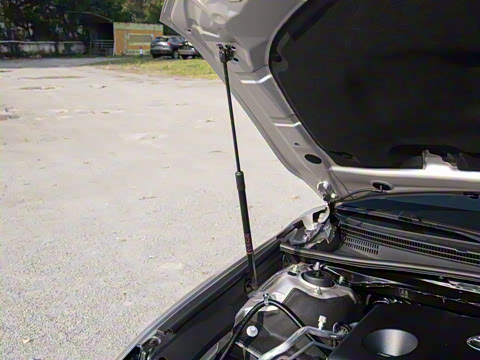 2024�� 2.0GVP ������