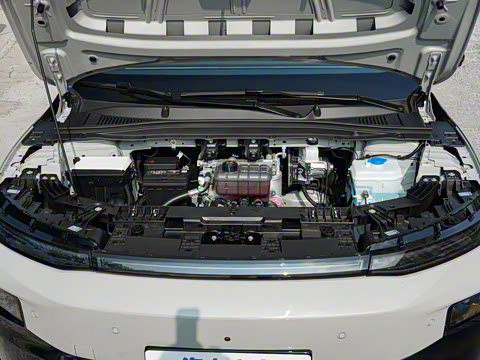 2025�� 550�����״��