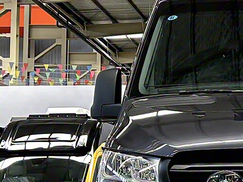 2025�� ������