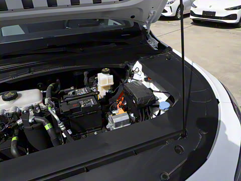 2025�� 520km ������