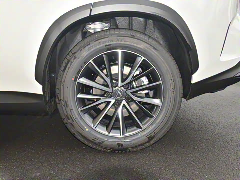 2024�� 400h+ ���ð�