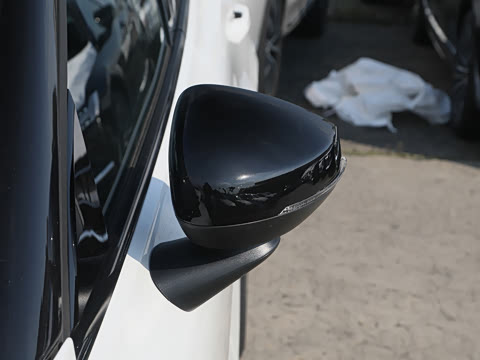 2025�� ������������ Plus