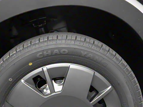 2025�� 305km ������