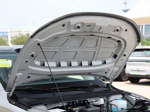 2025�� 650�����״��