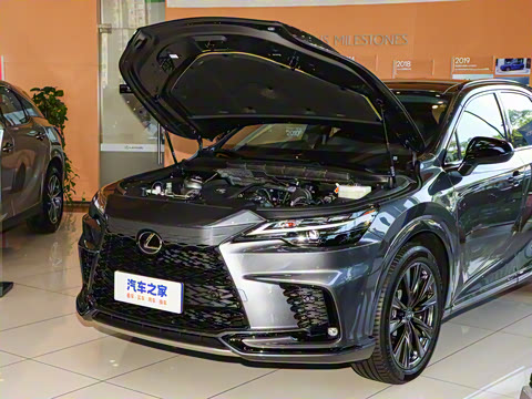 2025�� 500h ����F SPORT Performance