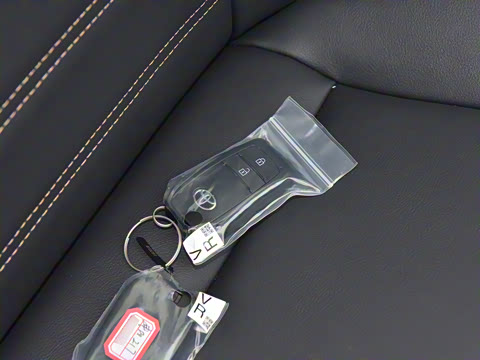 2024�� ˫�� 2.5L E-CVT��������PLUS��