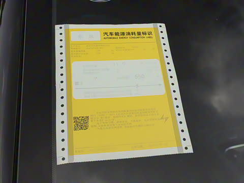 2025�� ���� 550Pro�캽��