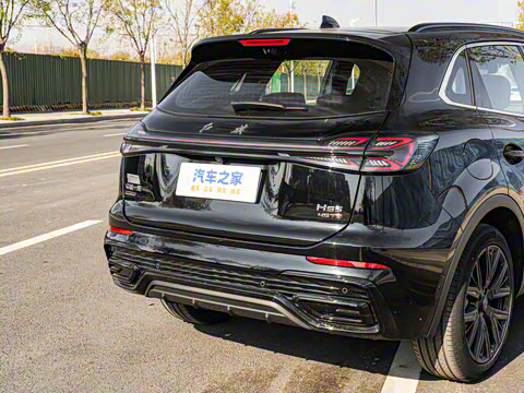 2025�� 2.0T ������Ӱ��