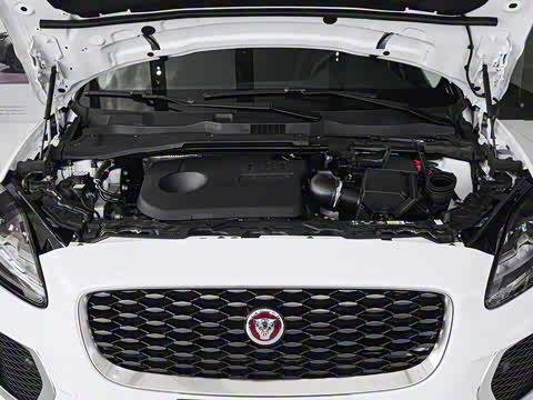 2024�� �ഺ�˶��� R-DYNAMIC