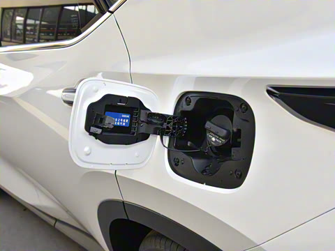 2025�� 260 ǰ�� �ر��