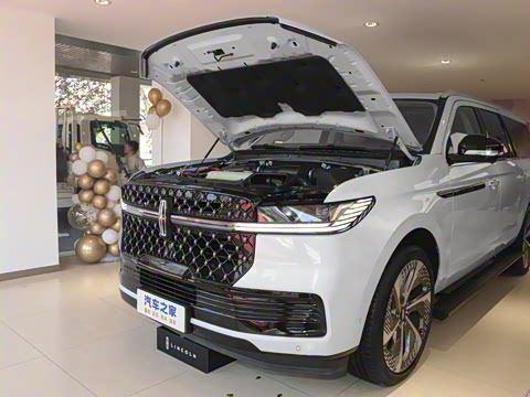 2025�� 3.5T �ӳ���ͳ��