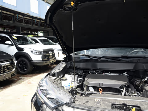 2024�� 2.0T ����Max